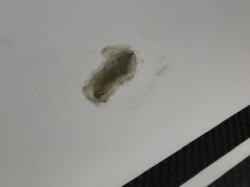 �G�|�L�V �v���Z�{ �f�b�L 53_5